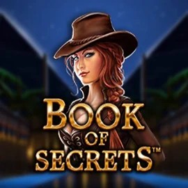 Official Slots logo: Book of Secrets by SYNOT Games at Realz Casino